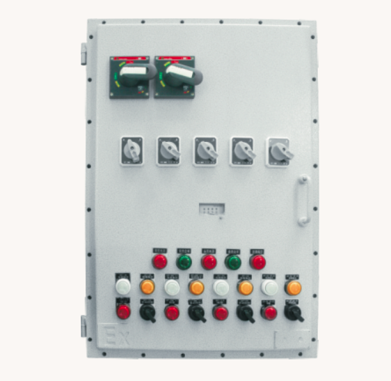 Explosion-proof Control Box (BXK)