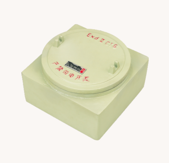 Explosion-proof junction box(IIC, Ex tD) (BJX)