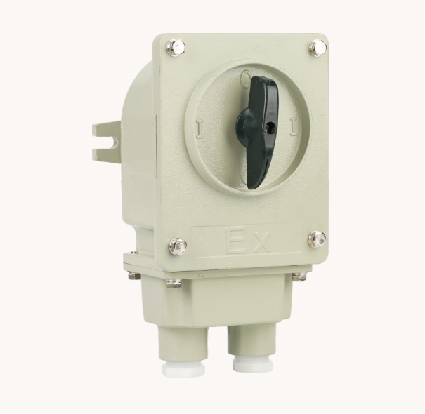 Explosion-proof Transfer Switch (BHZ)